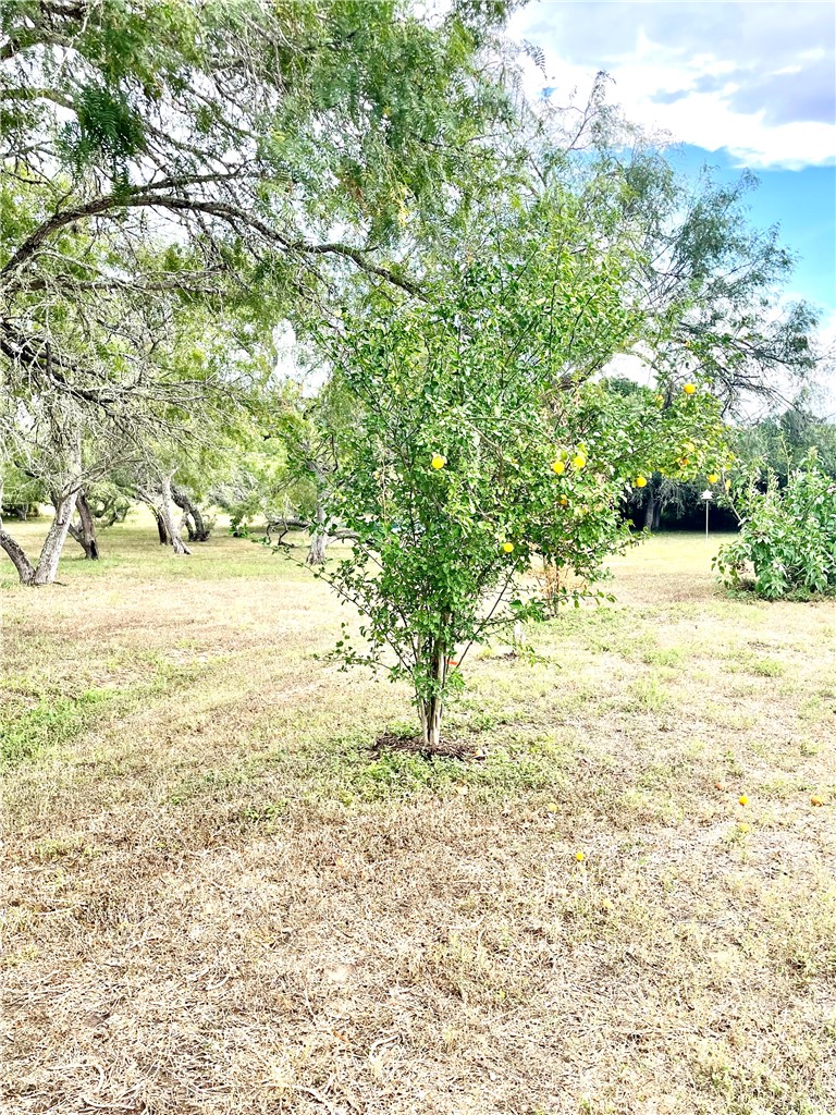 5871 Hidden Valley Loop Property Photo 33