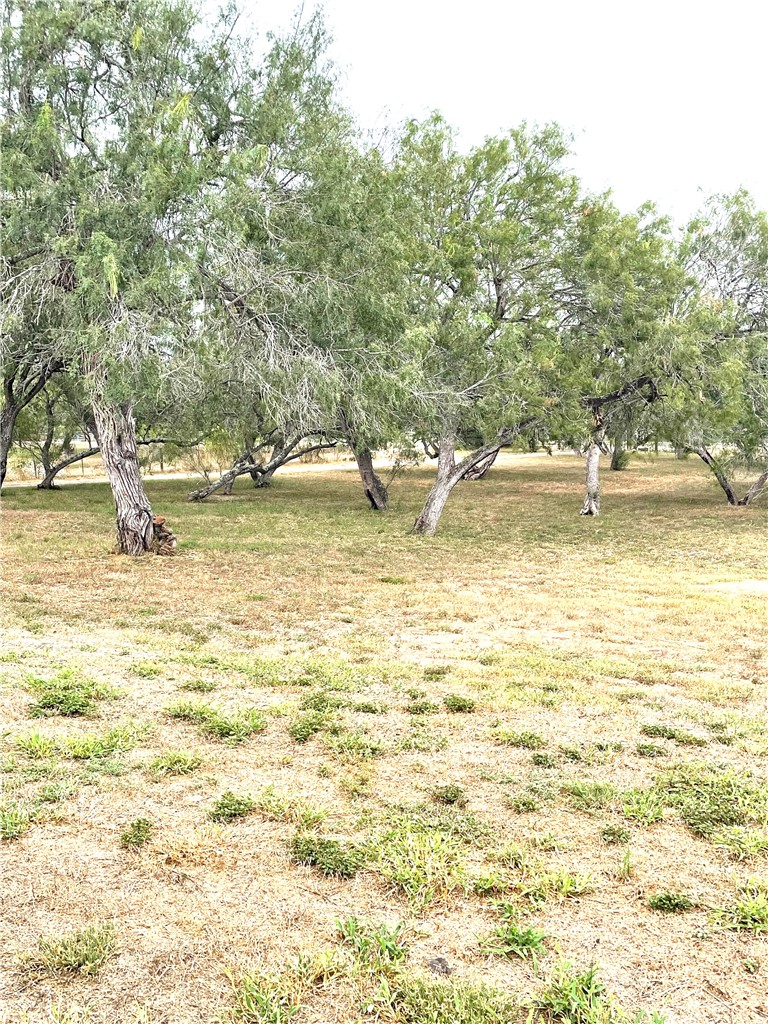 5871 Hidden Valley Loop Property Photo 34