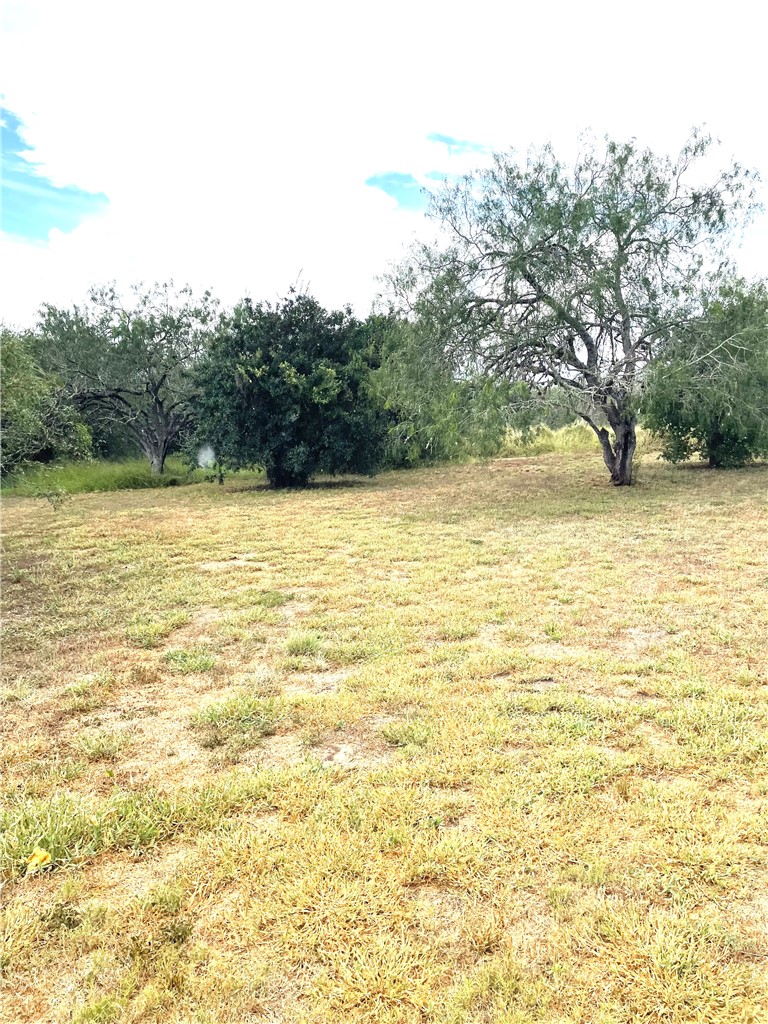 5871 Hidden Valley Loop Property Photo 37