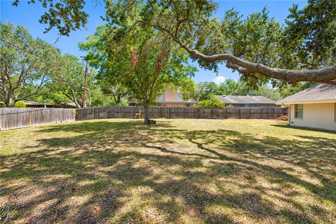 258 Mitchell St Property Photo 40