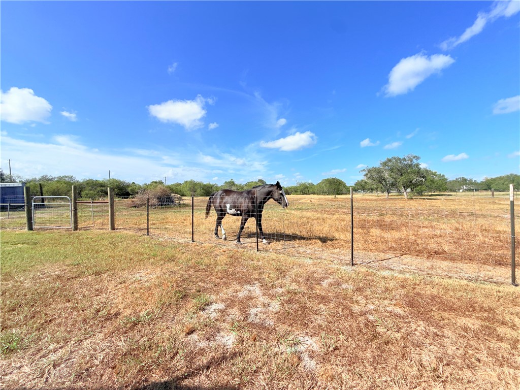 137 Fm 1360 Property Photo 29