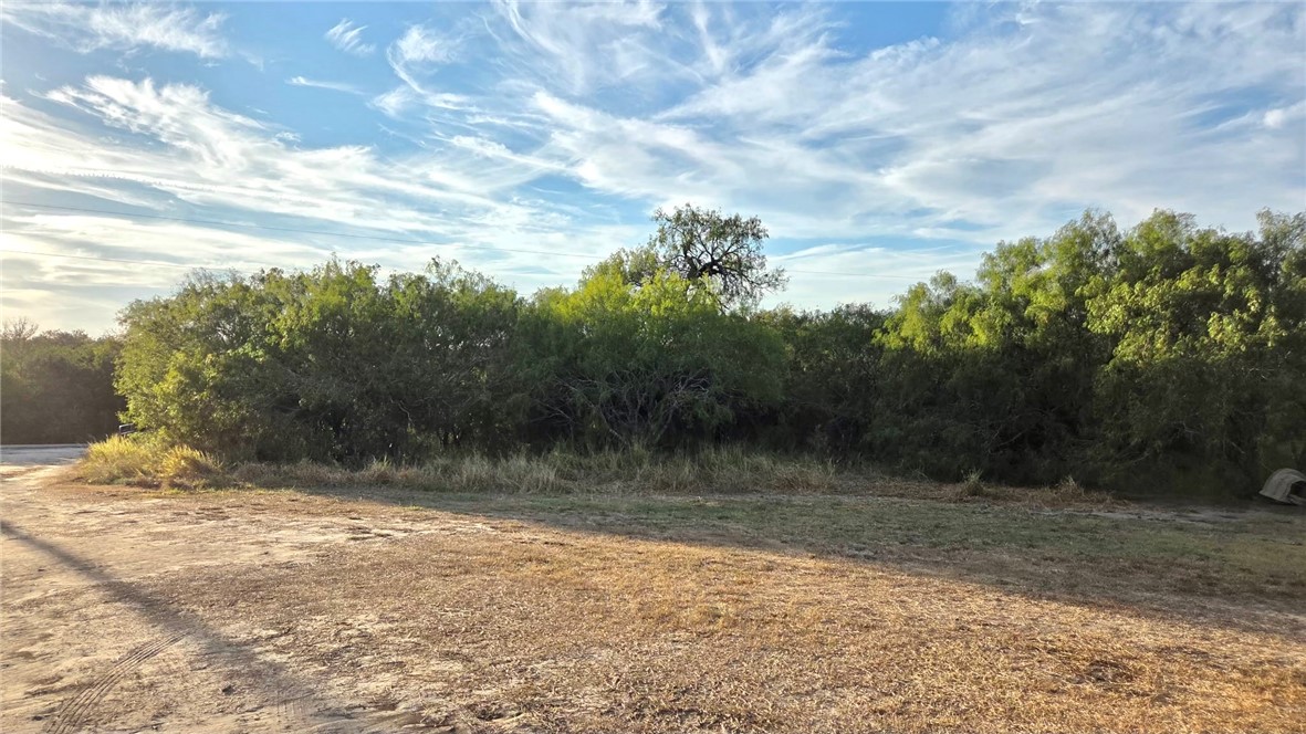 294 County Road 362 Property Photo 11