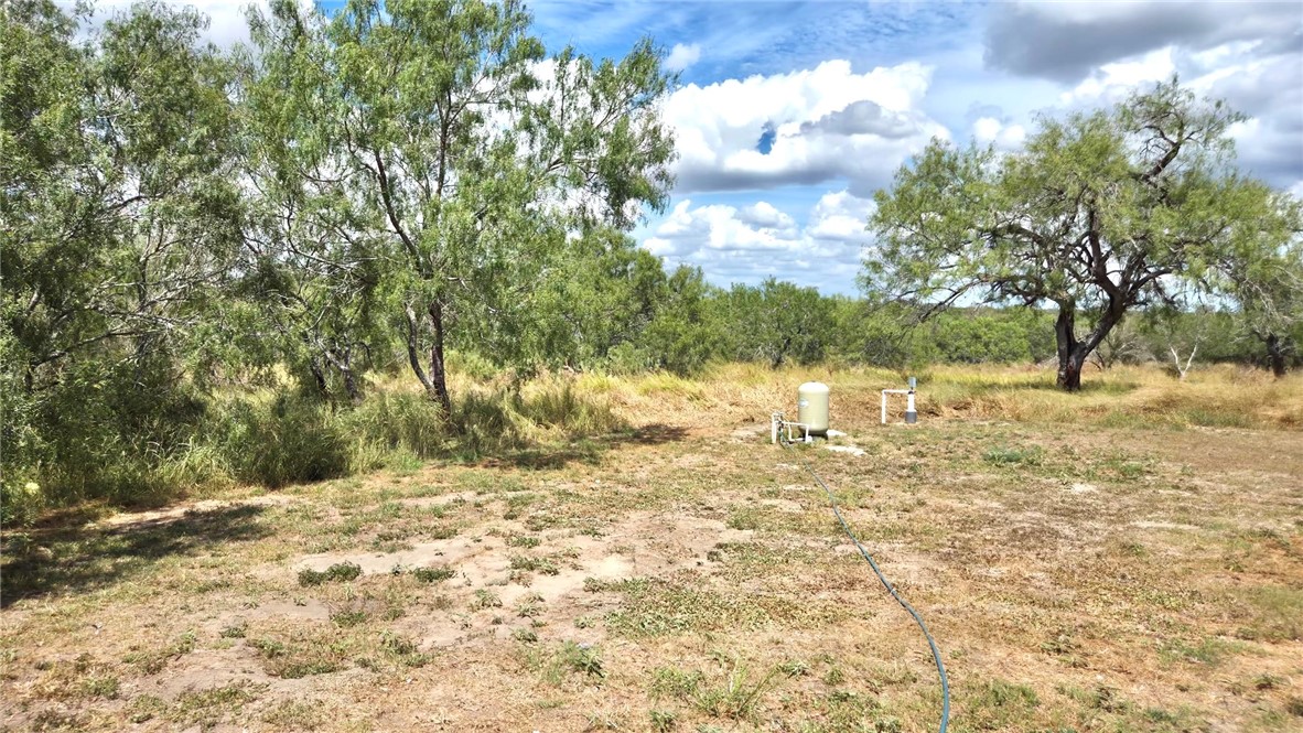 294 County Road 362 Property Photo 13