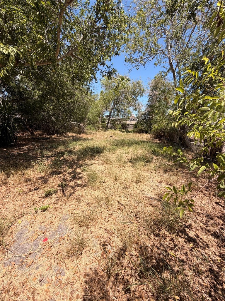 5502 Williams Dr Property Photo 16
