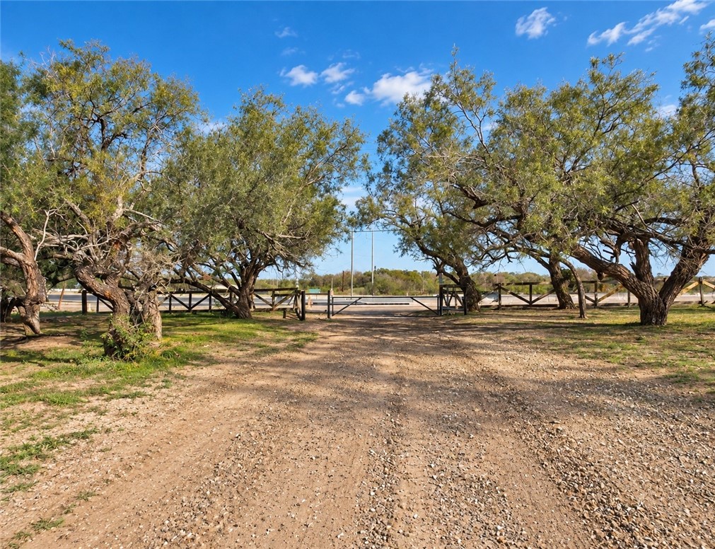 483019 Property Photo 5