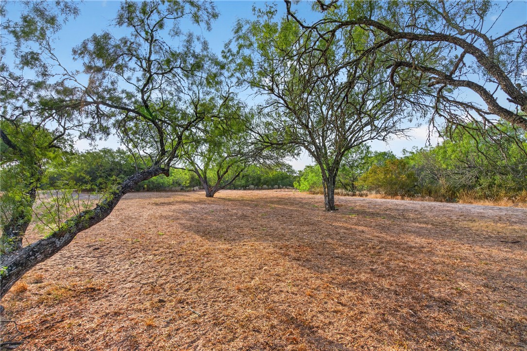 5781 County Road 308 Property Photo 29