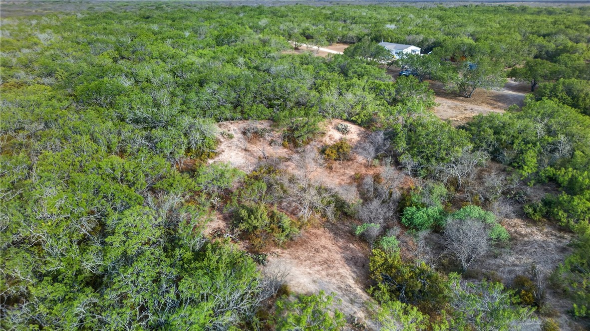5781 County Road 308 Property Photo 47