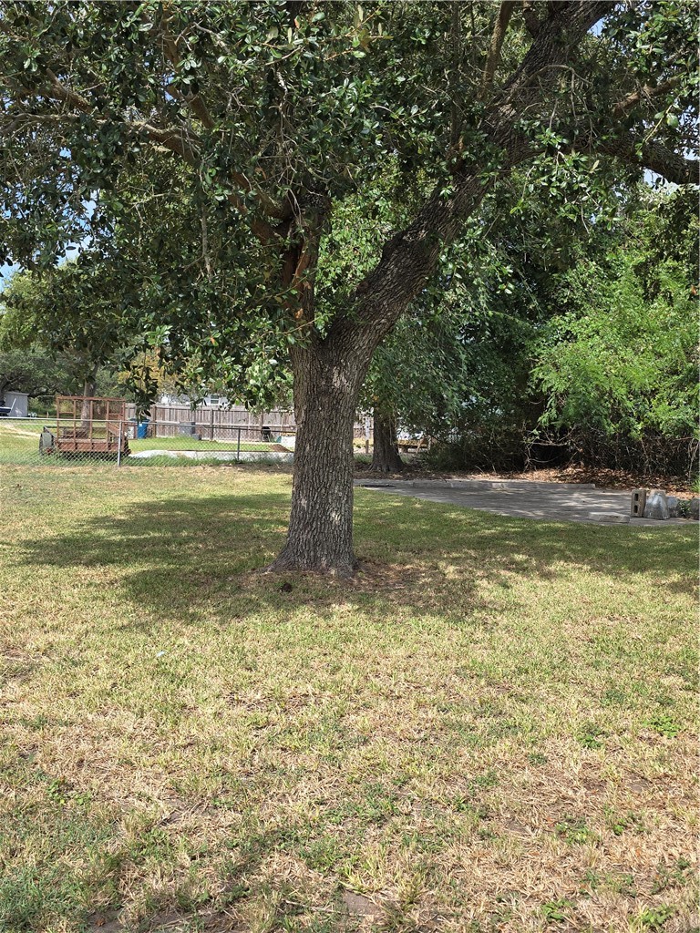 1121 Lady Clare St Property Photo 12