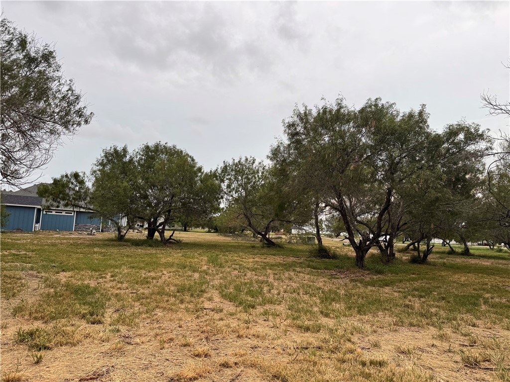 905 Santa Cruz Lane Property Photo 4