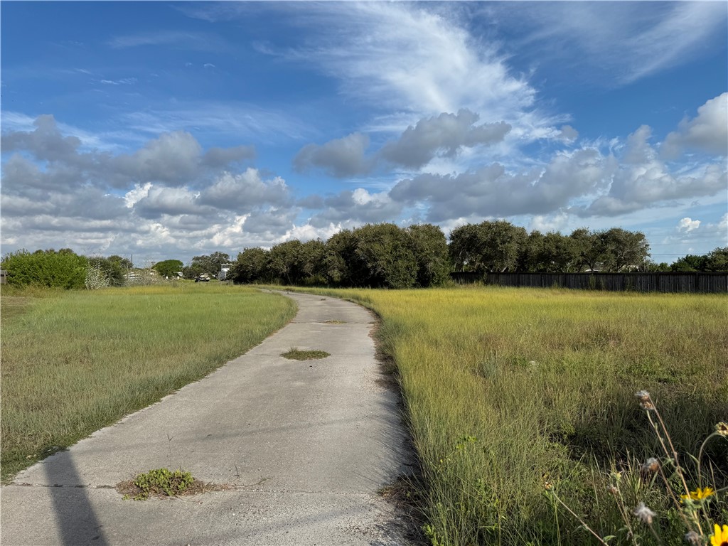 3628 Flour Bluff Dr Property Photo 1