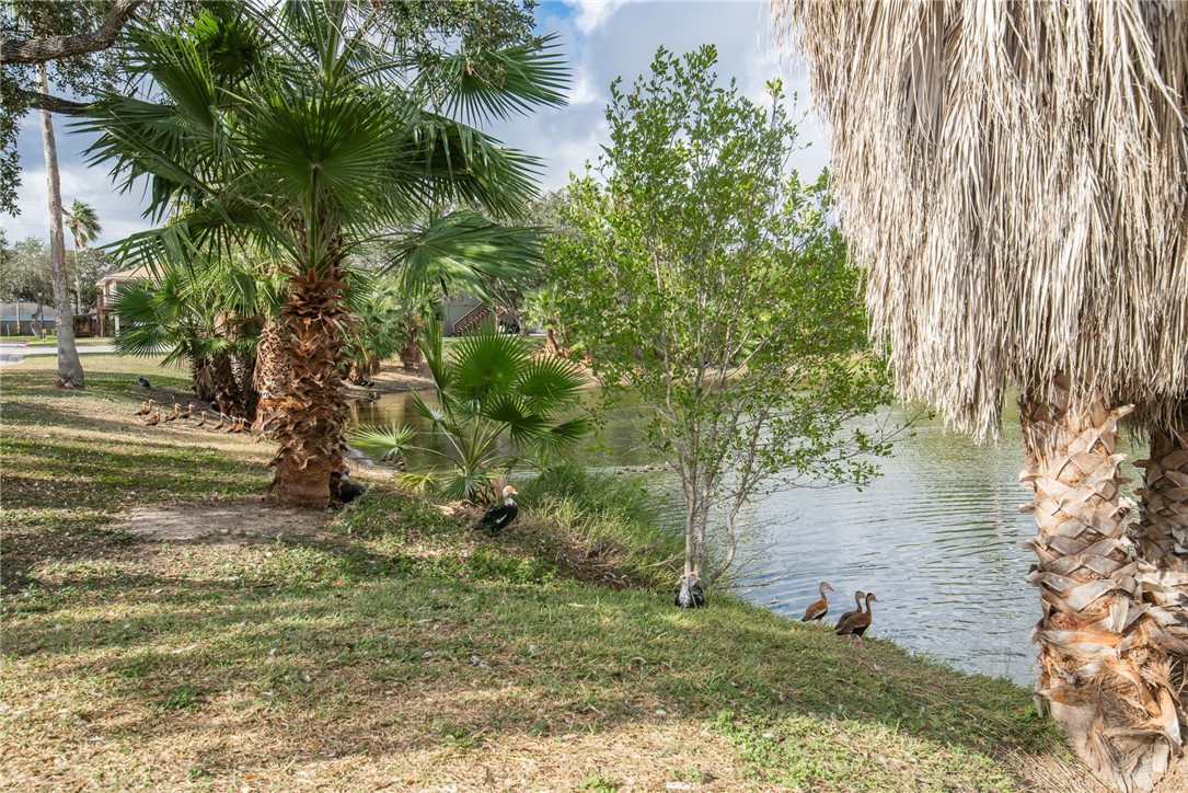 6138 Hidden Cove Property Photo 36