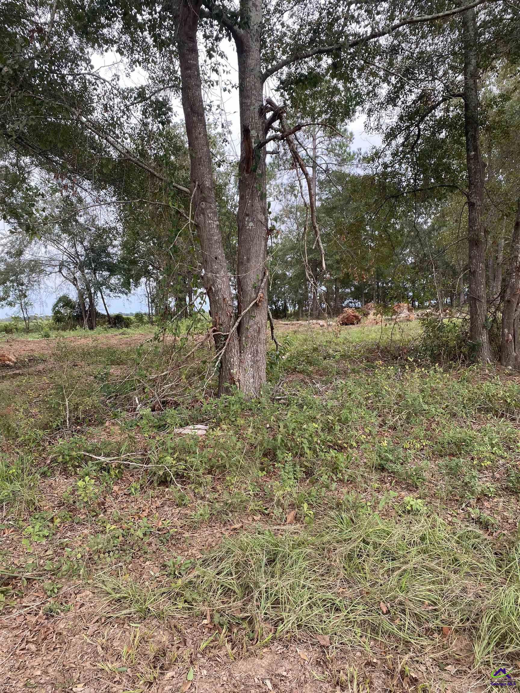 G70 River Ridge Property Photo 3