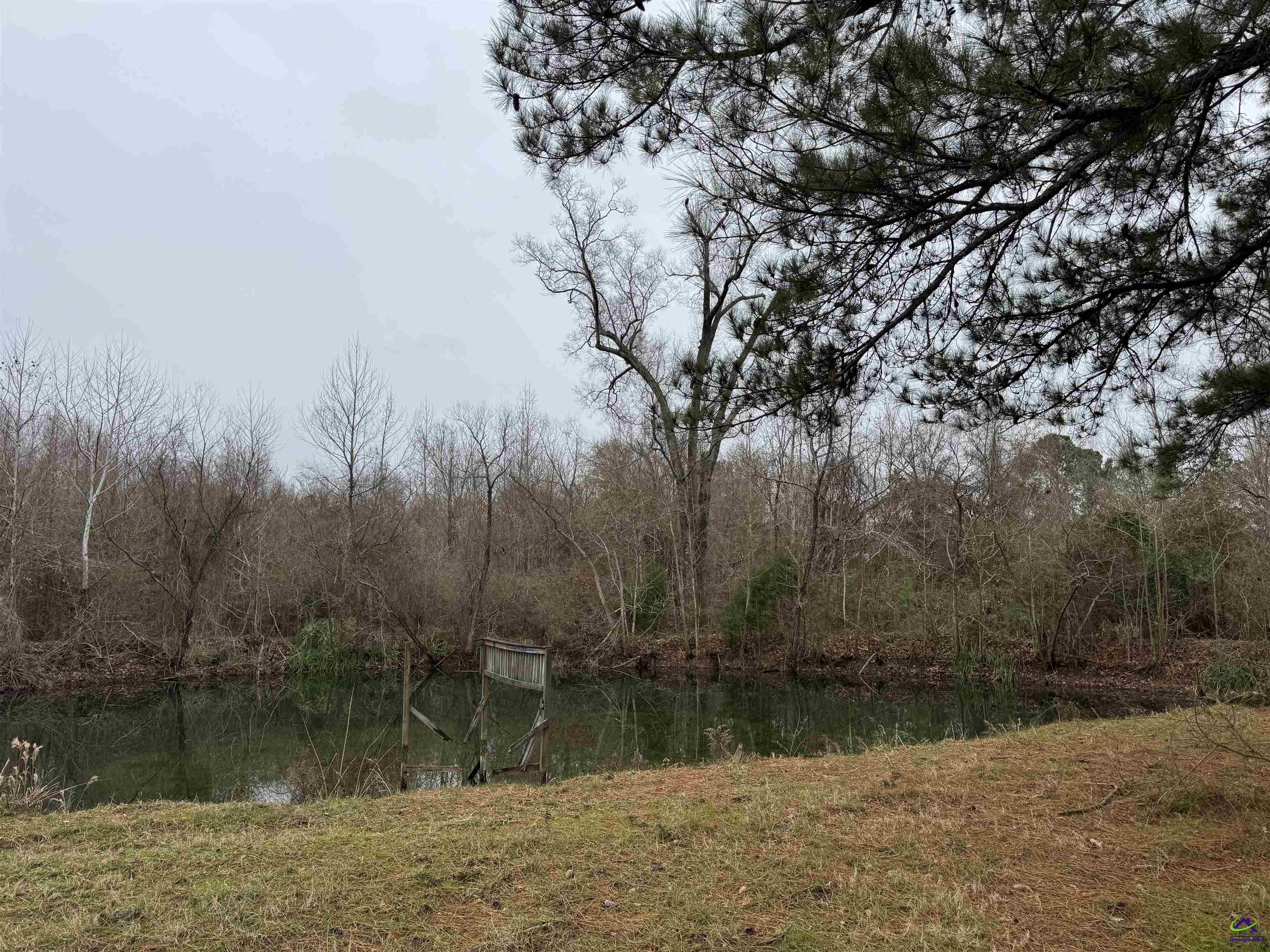 206 Gooseneck Lane Property Photo 4