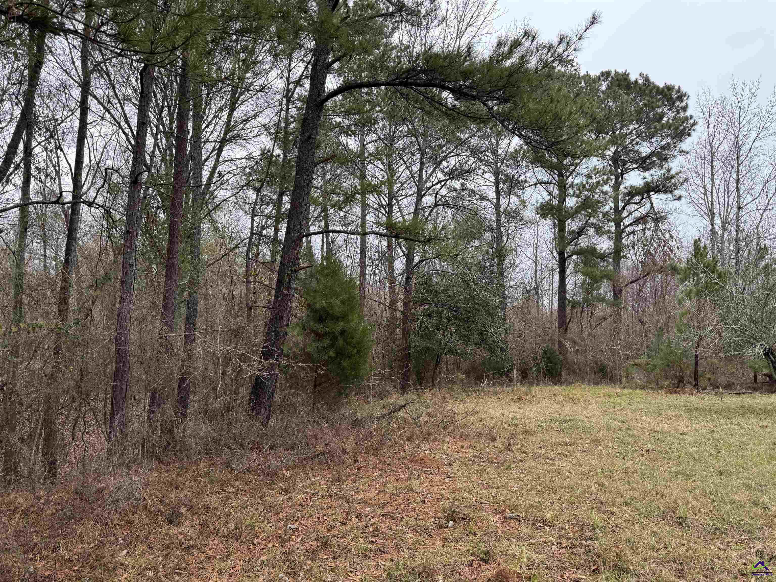 206 Gooseneck Lane Property Photo 7