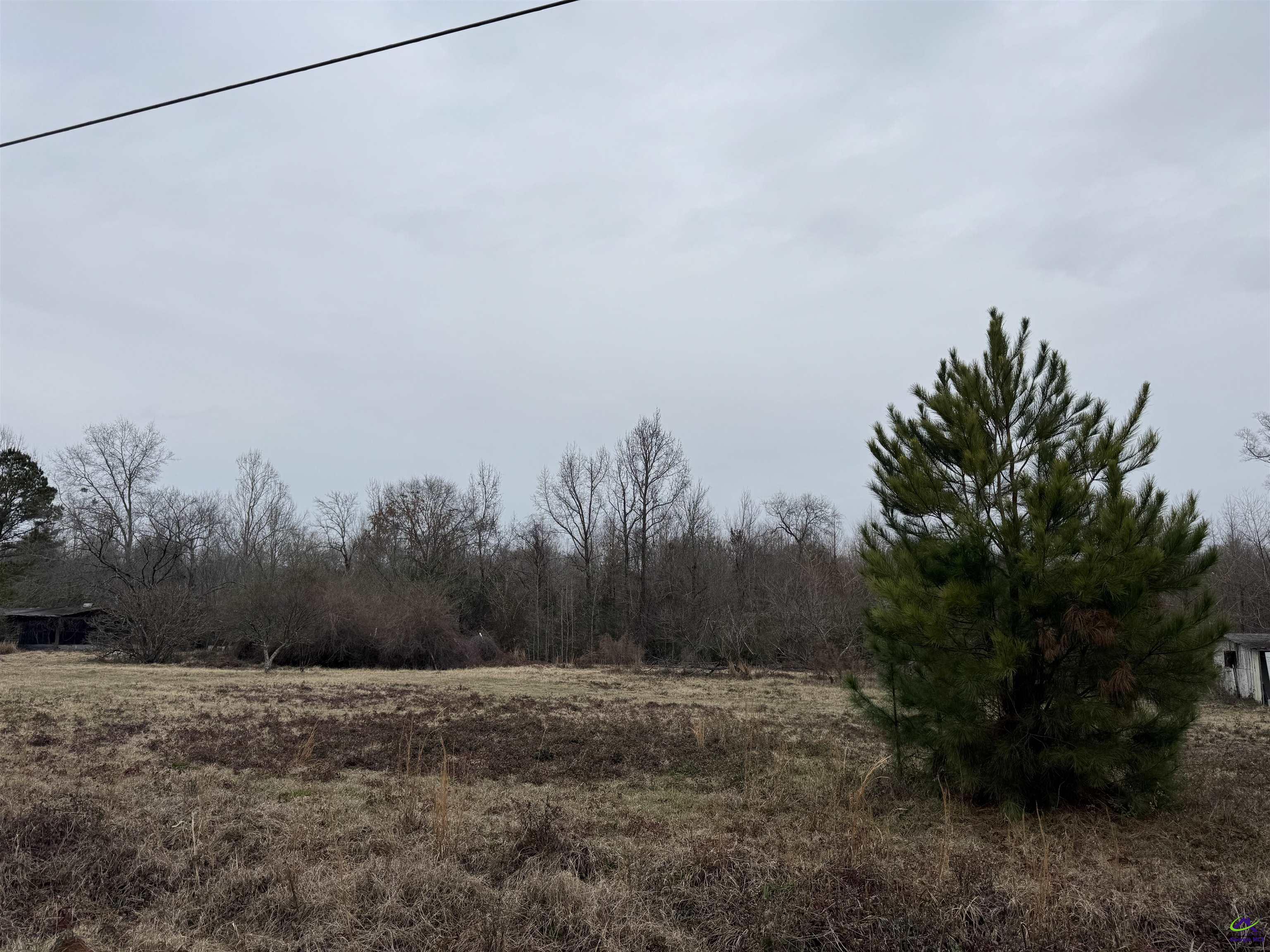 206 Gooseneck Lane Property Photo 11