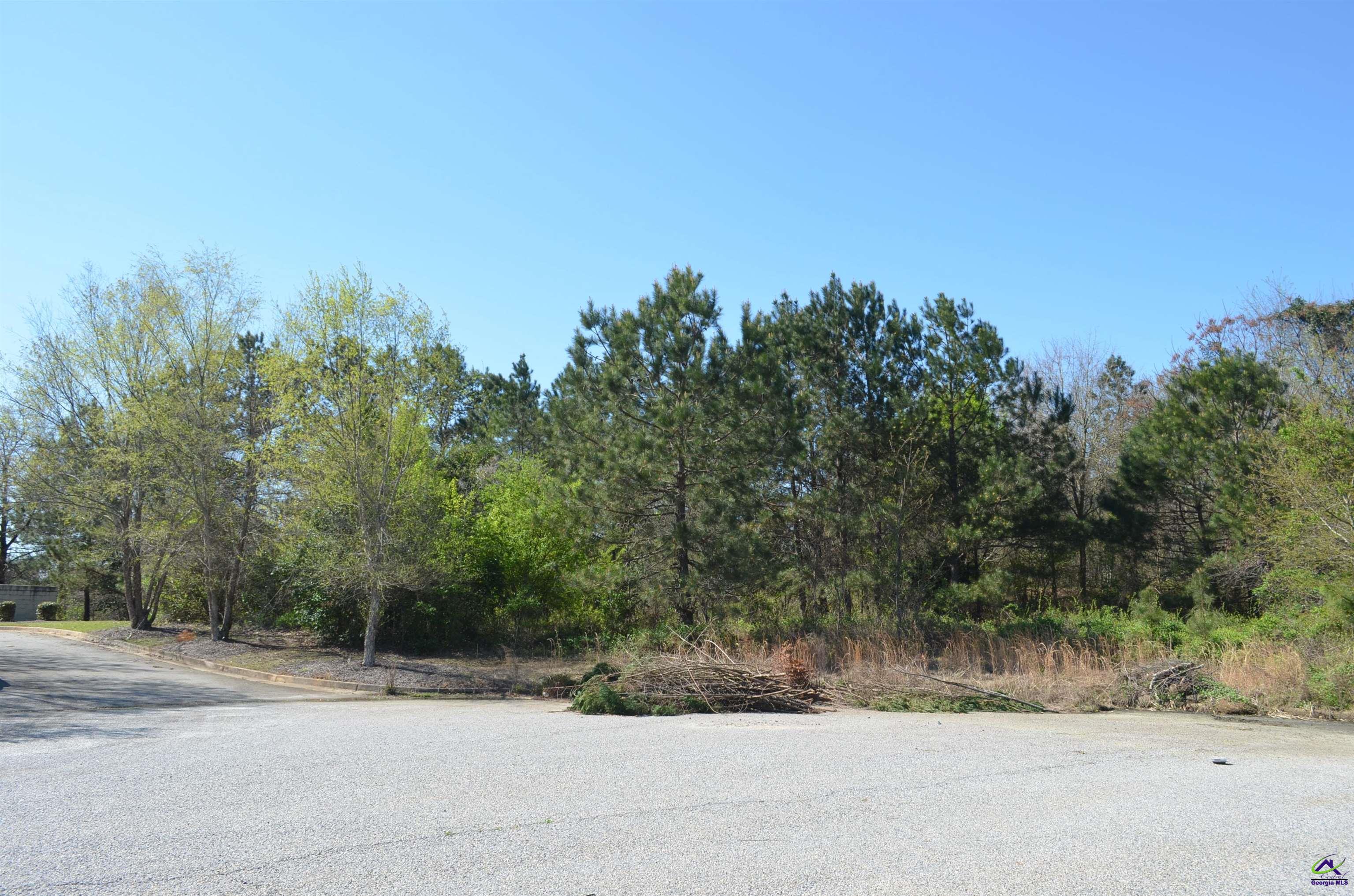 Jim Mason Court Property Photo 9
