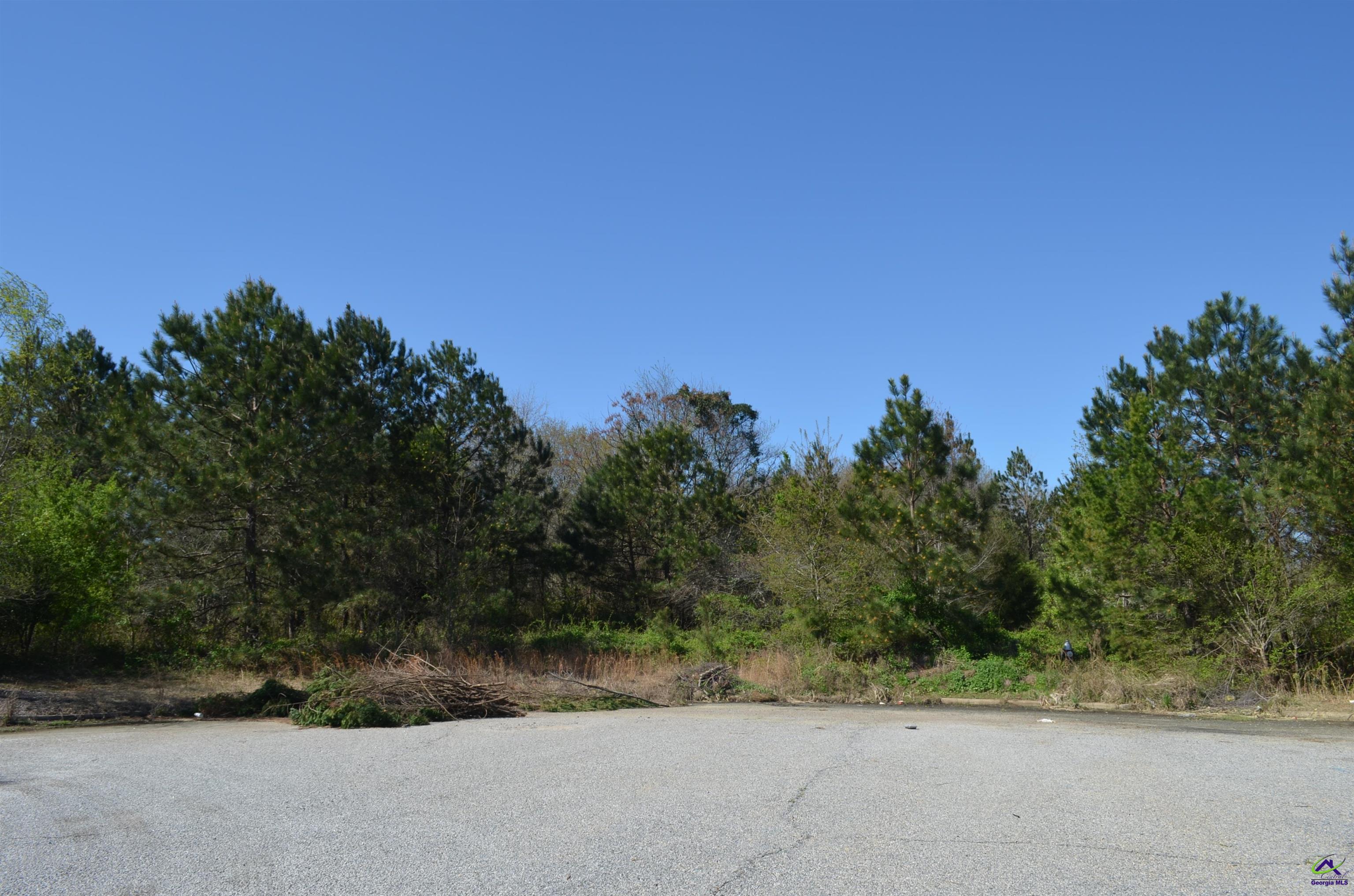 Jim Mason Court Property Photo 10