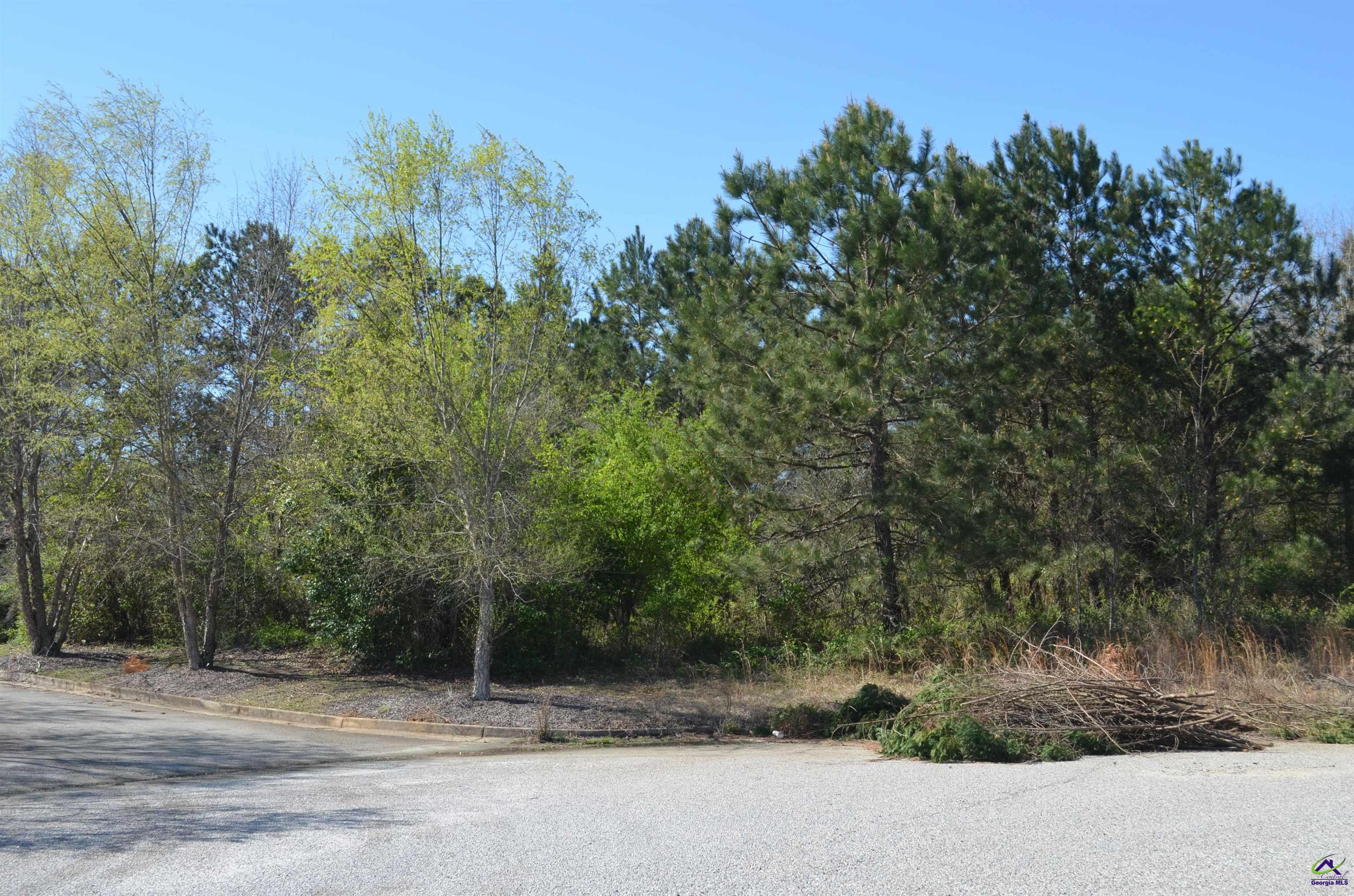 Jim Mason Court Property Photo 11