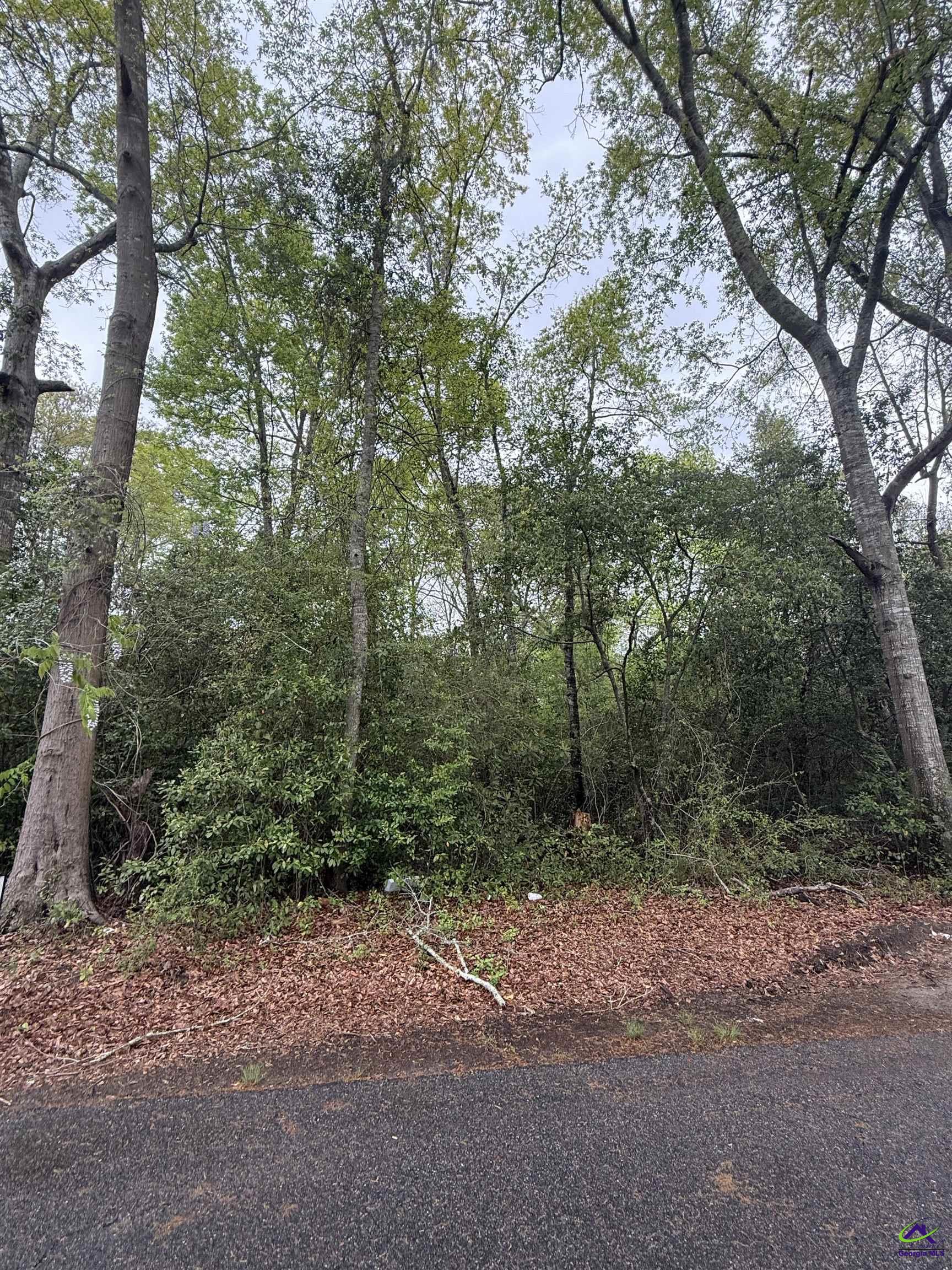Ash Alley Property Photo 1