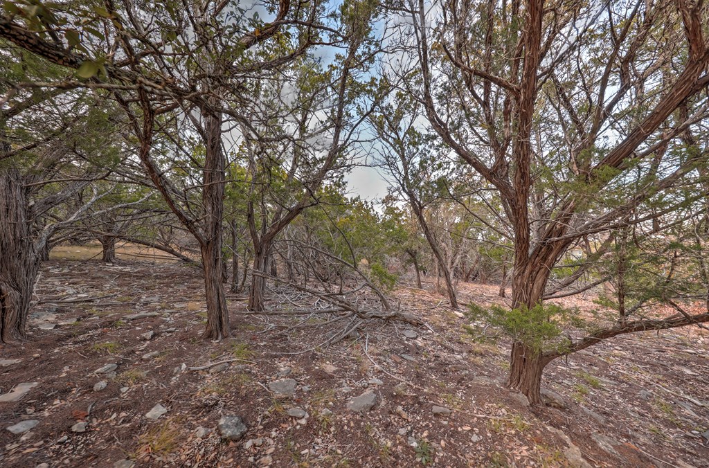 438-2 Yellowstone Lane Property Photo 23