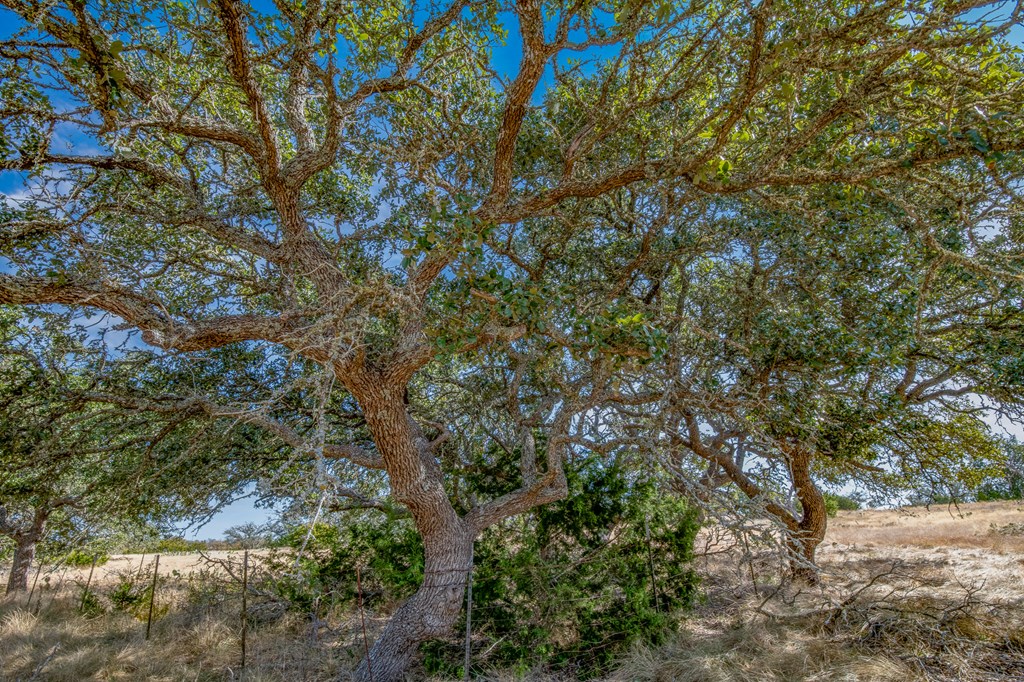 234 Lower Reservation Rd Property Photo 4