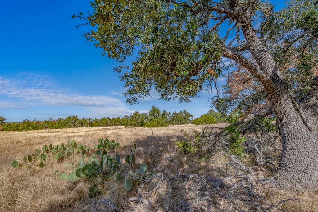 234 Lower Reservation Rd Property Photo 5