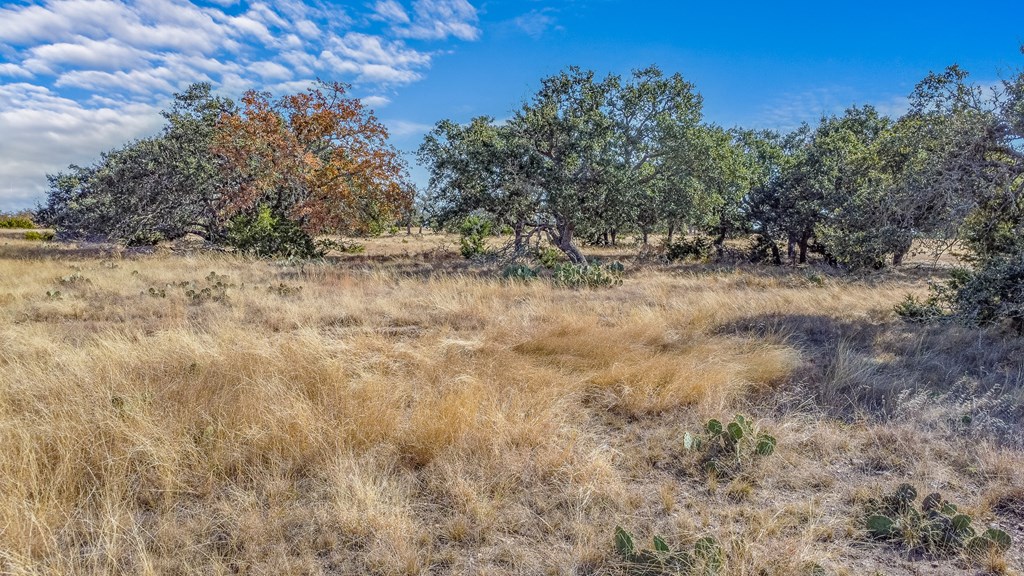 234 Lower Reservation Rd Property Photo 14