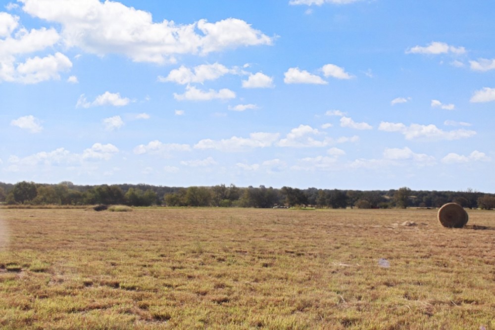 11157 W Us Hwy 290 Property Photo 28