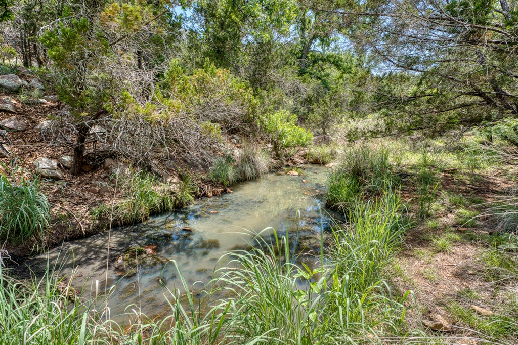 12759 S State Hwy 16 Property Photo 6