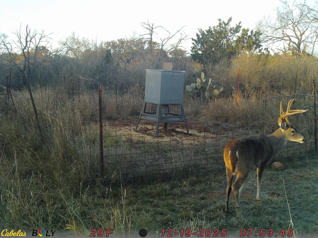 12759 S State Hwy 16 Property Photo 38