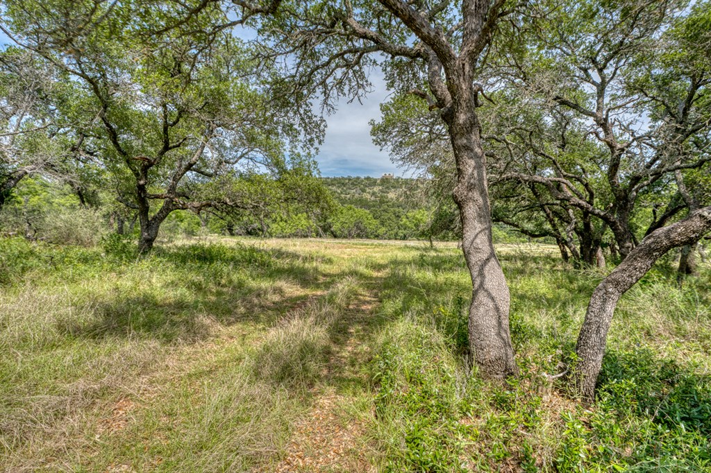 12759 S State Hwy 16 Property Photo 42