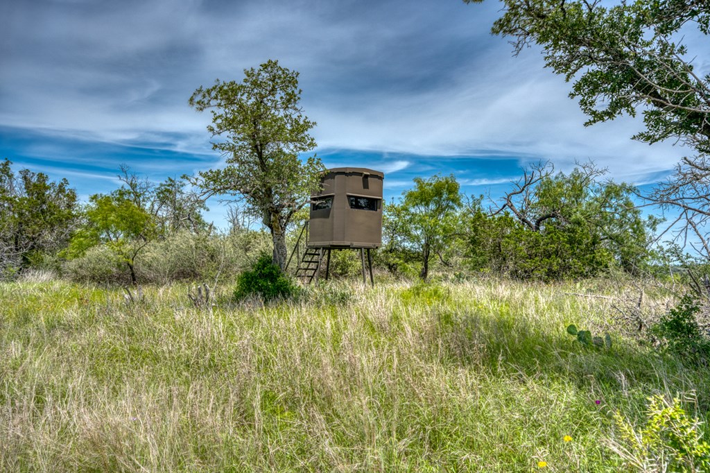 12759 S State Hwy 16 Property Photo 53