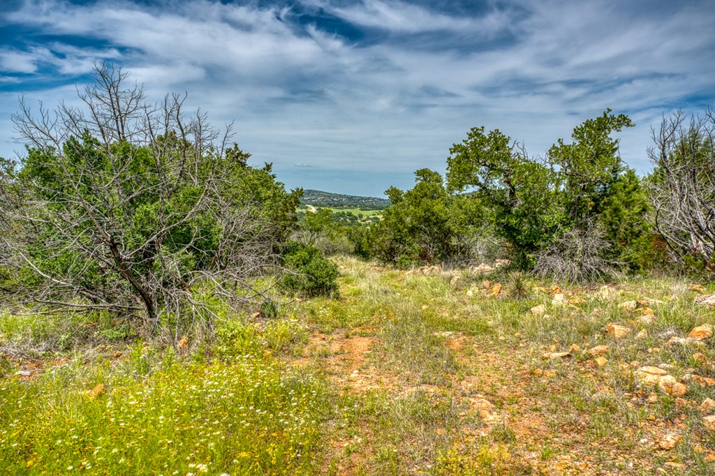 12759 S State Hwy 16 Property Photo 57
