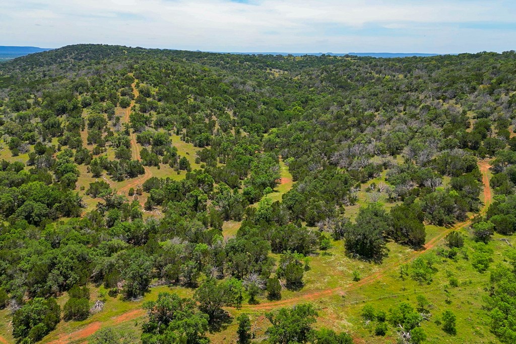 12759 S State Hwy 16 Property Photo 60