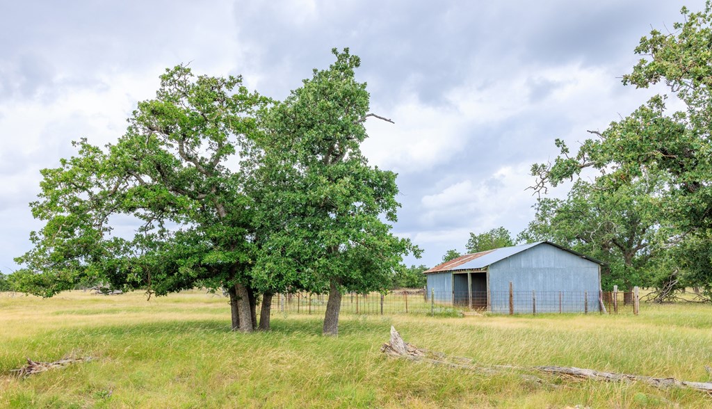 11453 N Us Hwy 87 Property Photo 37