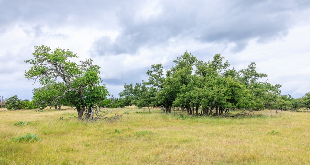 11453 N Us Hwy 87 Property Photo 39