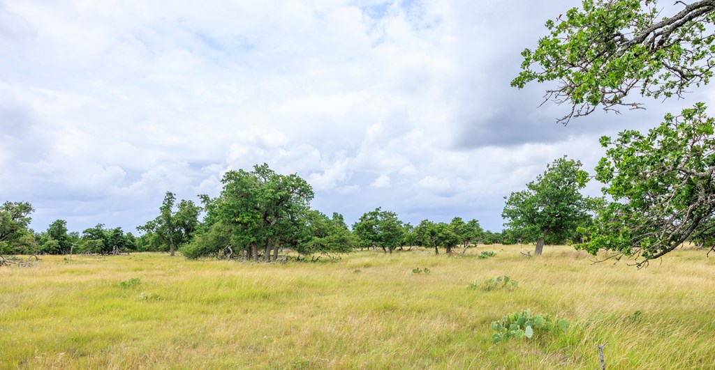 11453 N Us Hwy 87 Property Photo 40