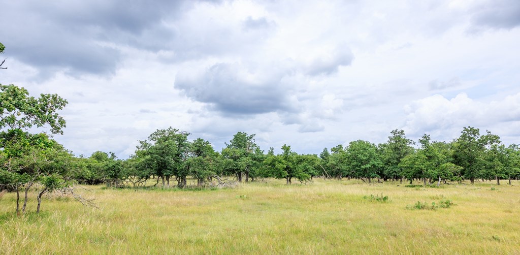 11453 N Us Hwy 87 Property Photo 41