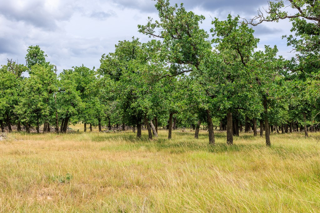 11453 N Us Hwy 87 Property Photo 43