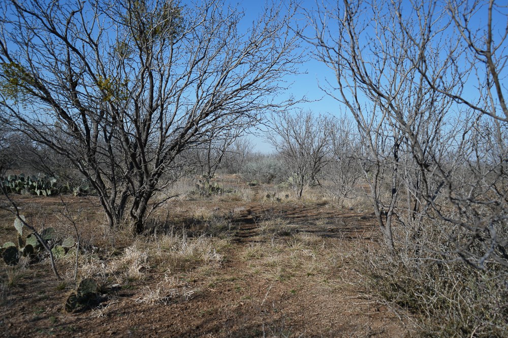 120 County Rd 306 Property Photo 22
