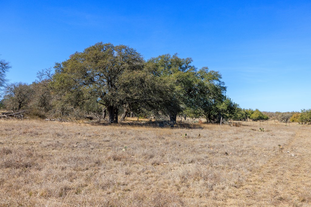 2020 Wendel Rd Property Photo 38