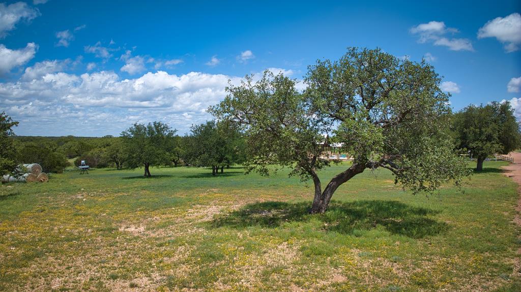 19316 Ranch Rd 1871 Property Photo 40