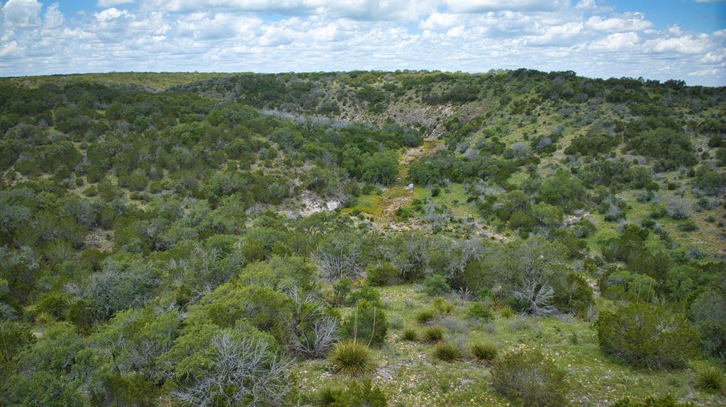 19316 Ranch Rd 1871 Property Photo 46
