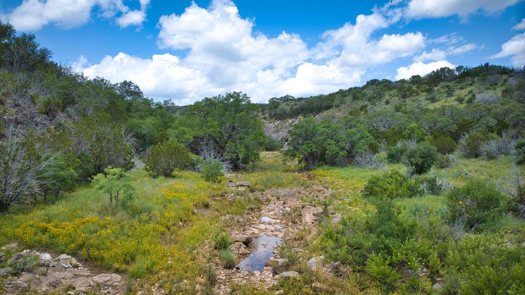 19316 Ranch Rd 1871 Property Photo 48