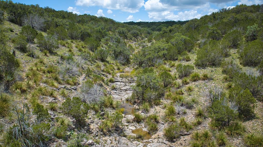 19316 Ranch Rd 1871 Property Photo 55