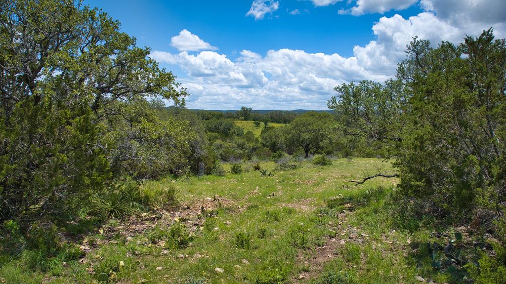 19316 Ranch Rd 1871 Property Photo 58