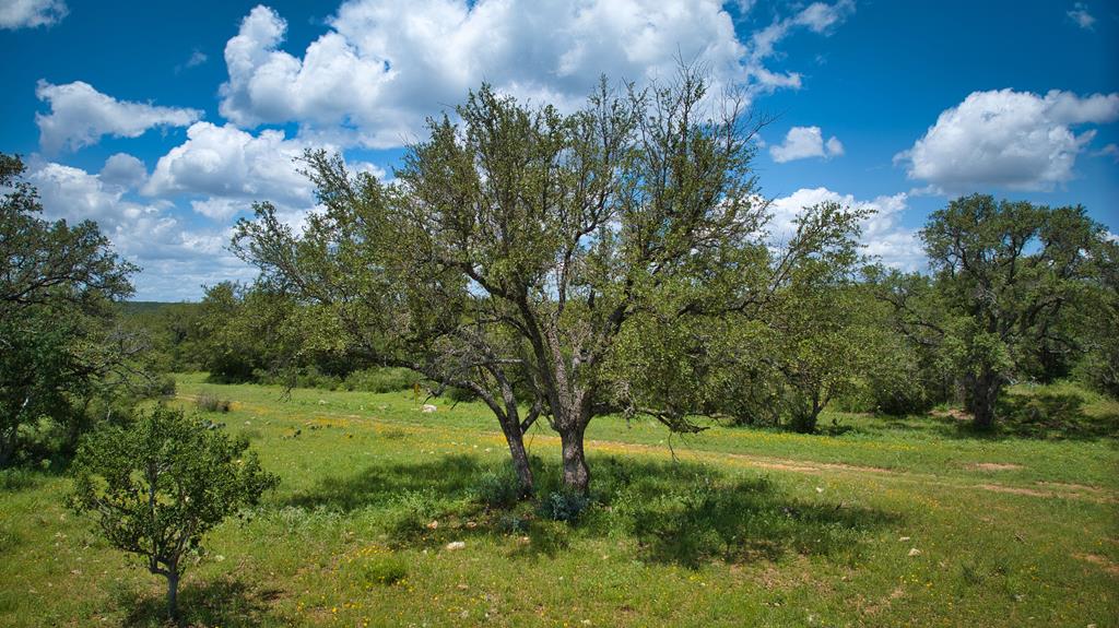 19316 Ranch Rd 1871 Property Photo 61