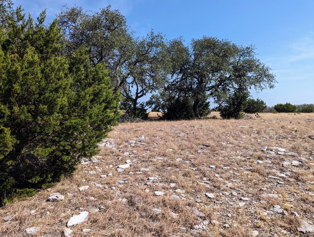 Lot 64 Oakwater Dr # 64 Property Photo 7