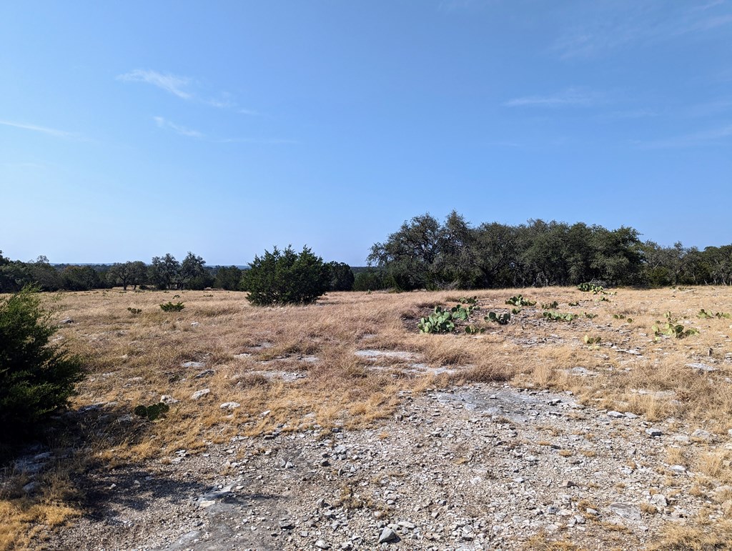 Lot 64 Oakwater Dr # 64 Property Photo 12
