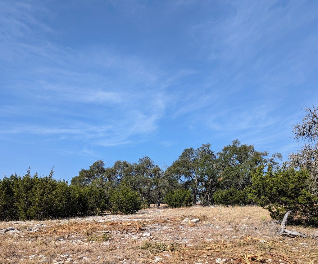 Lot 64 Oakwater Dr # 64 Property Photo 17